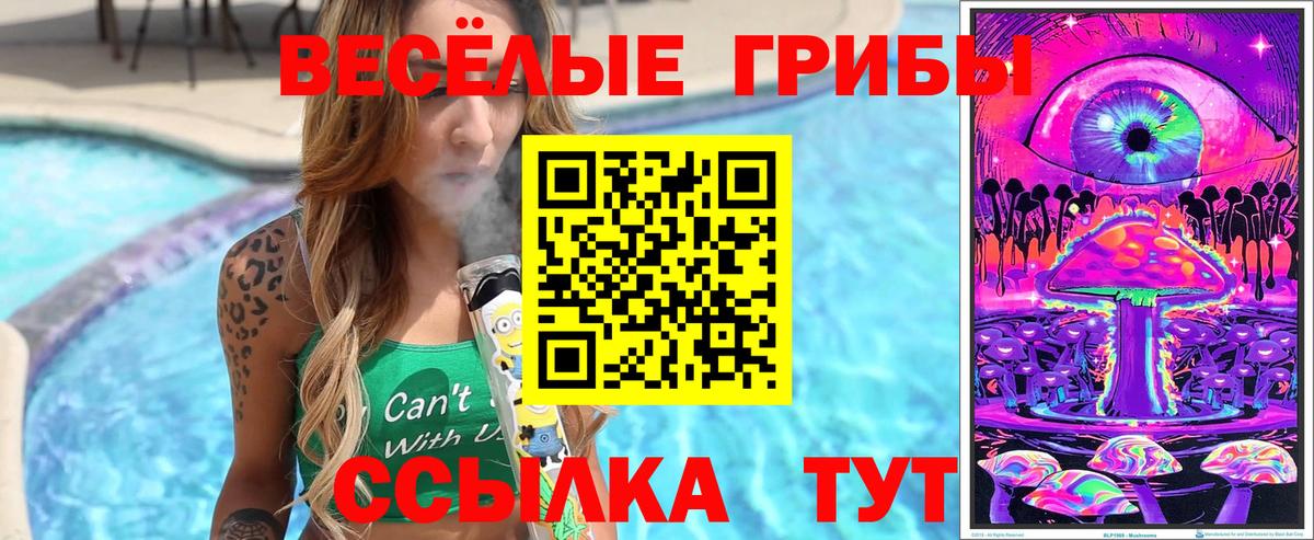 Галлюциногенные грибы GOLDEN TEACHER Калач-на-Дону