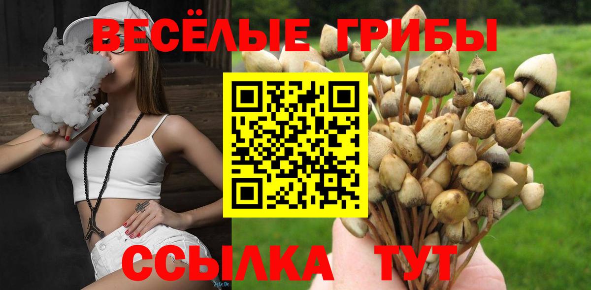 Калач-на-Дону  Псилоцибиновые грибы Psilocybe  Вход с VPN 